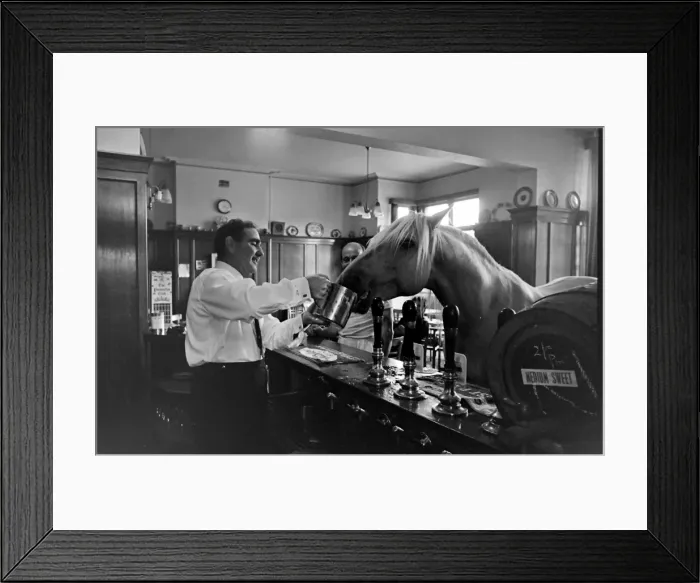 Framed Print : King, the football-playing stallion Framed Print : King, the football-playing stallion