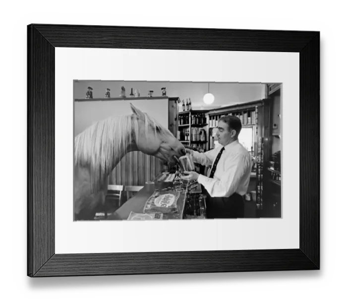 Framed Print : King, the football-playing stallion Framed Print : King, the football-playing stallion
