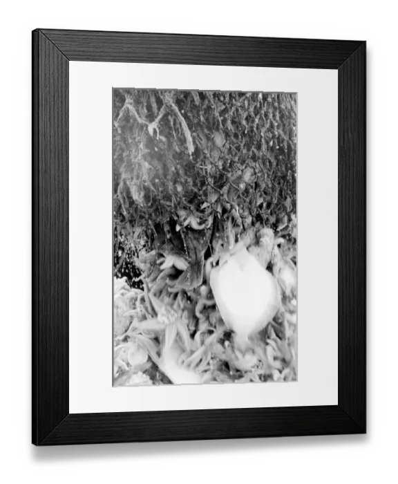 Framed Print : Life on a North Sea trawler Framed Print : Life on a North Sea trawler
