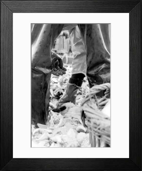 Framed Print : Life on a North Sea trawler Framed Print : Life on a North Sea trawler