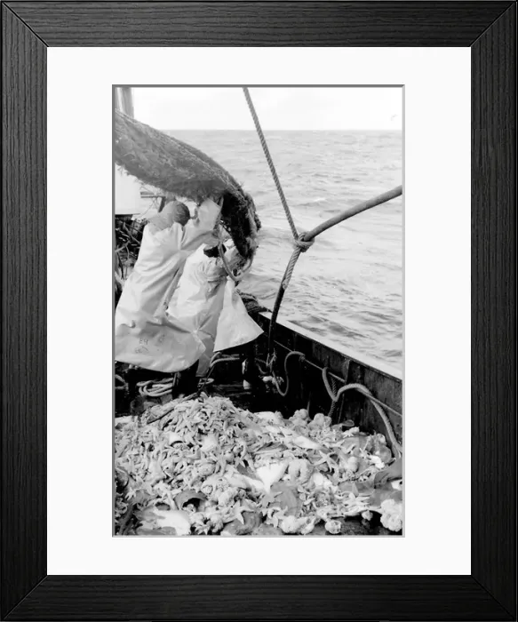 Framed Print : Life on a North Sea trawler Framed Print : Life on a North Sea trawler