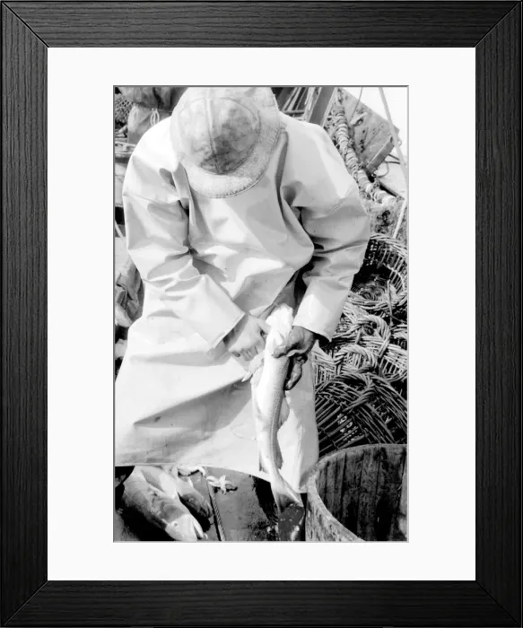 Framed Print : Life on a North Sea trawler Framed Print : Life on a North Sea trawler