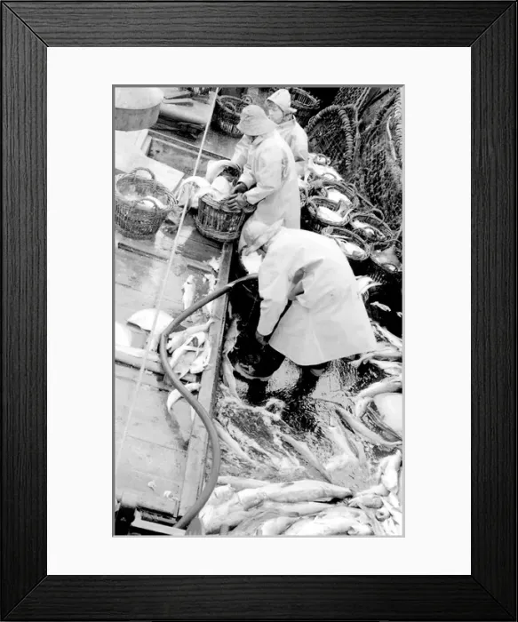 Framed Print : Life on a North Sea trawler Framed Print : Life on a North Sea trawler