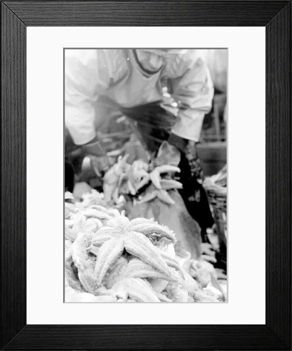 Framed Print : Life on a North Sea trawler Framed Print : Life on a North Sea trawler