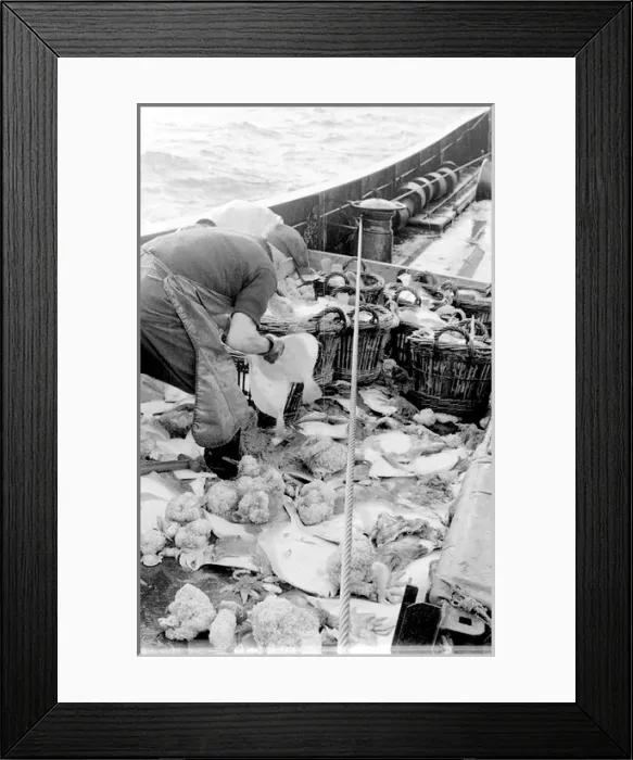 Framed Print : Life on a North Sea trawler Framed Print : Life on a North Sea trawler