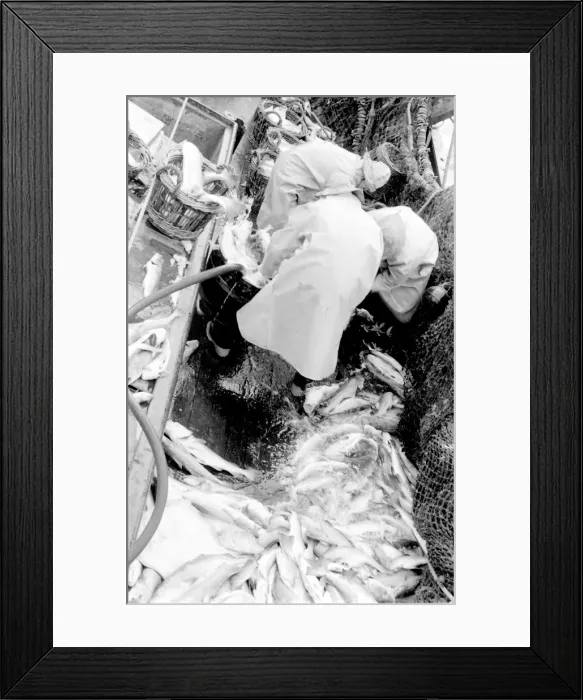 Framed Print : Life on a North Sea trawler Framed Print : Life on a North Sea trawler
