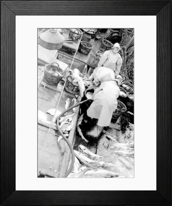 Framed Print : Life on a North Sea trawler Framed Print : Life on a North Sea trawler