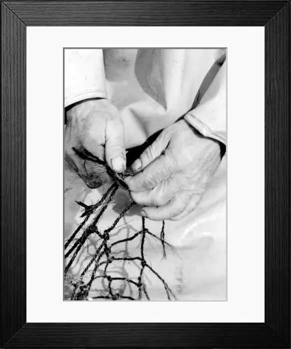 Framed Print : Life on a North Sea trawler Framed Print : Life on a North Sea trawler