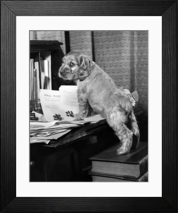 Framed Print : Susi - with books and papers Framed Print : Susi - with books and papers