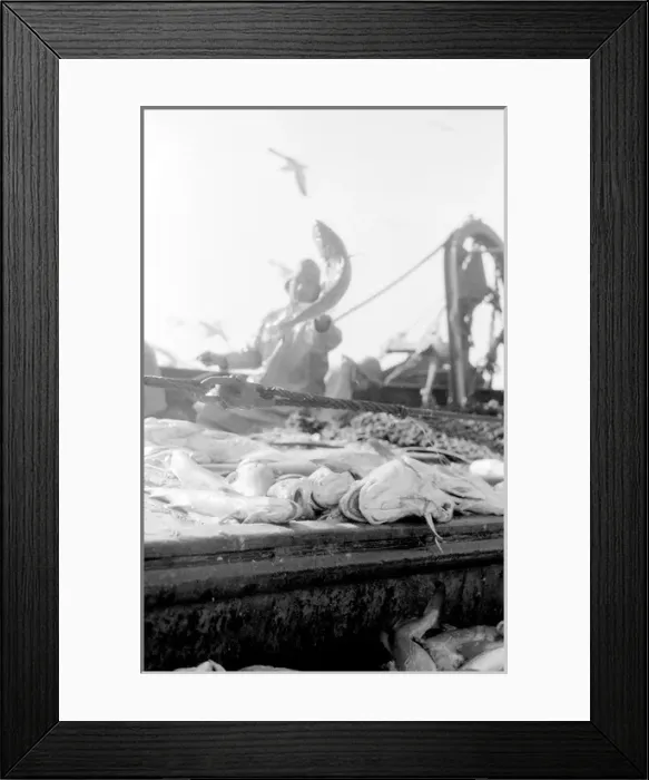 Framed Print : Life on a North Sea trawler Framed Print : Life on a North Sea trawler