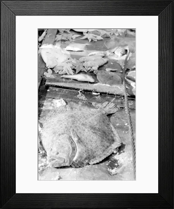 Framed Print : Life on a North Sea trawler Framed Print : Life on a North Sea trawler