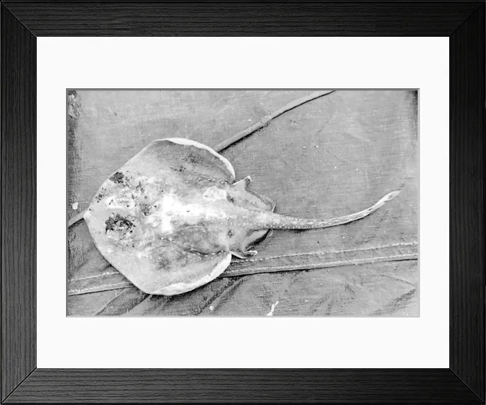 Framed Print : Life on a North Sea trawler Framed Print : Life on a North Sea trawler