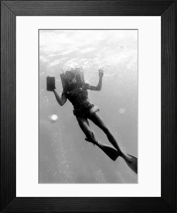 Framed Print : Diver underwater off the coast of Malta Framed Print : Diver underwater off the coast of Malta