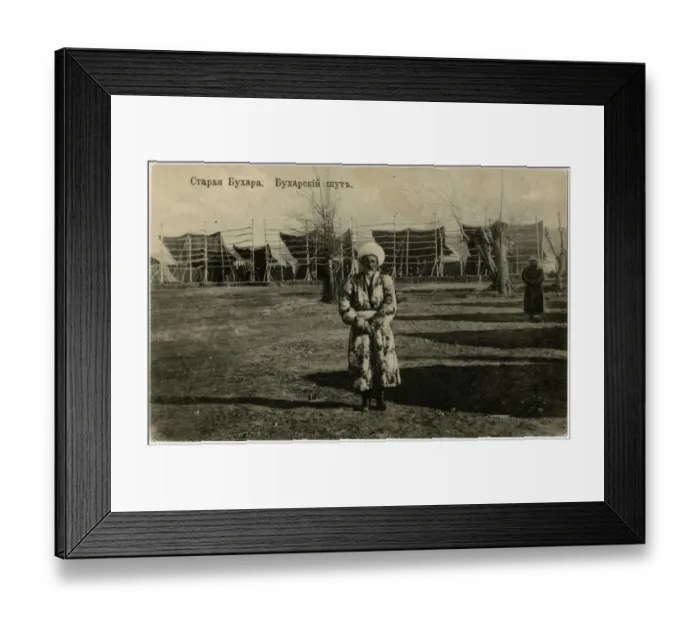 Framed Print : Bukhara, Uzbekistan - Just outside the town