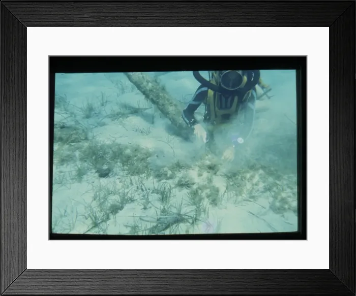 Framed Print : Diver on the seabed Framed Print : Diver on the seabed