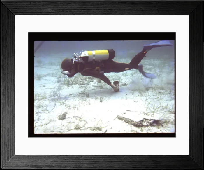 Framed Print : Diver on the seabed Framed Print : Diver on the seabed