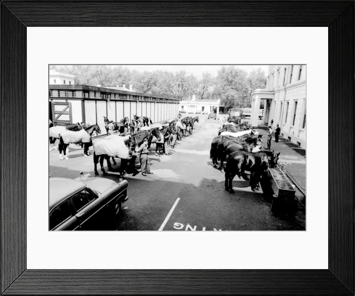 Framed Print : Horses drinking from troughs Framed Print : Horses drinking from troughs