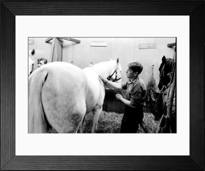 Framed Print : Men at work in a stable Framed Print : Men at work in a stable
