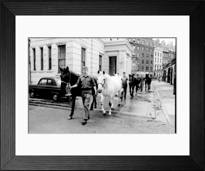 Framed Print : Soldiers leading horses Framed Print : Soldiers leading horses