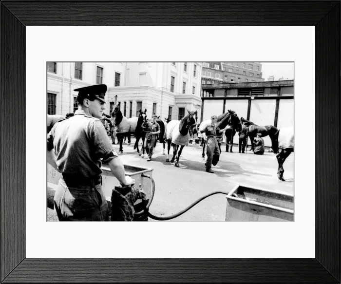 Framed Print : Bringing horses to water Framed Print : Bringing horses to water