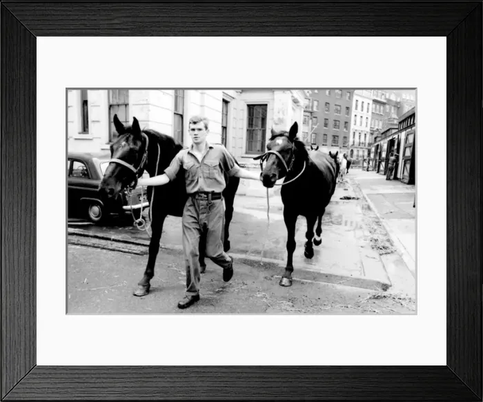 Framed Print : Soldiers leading horses Framed Print : Soldiers leading horses