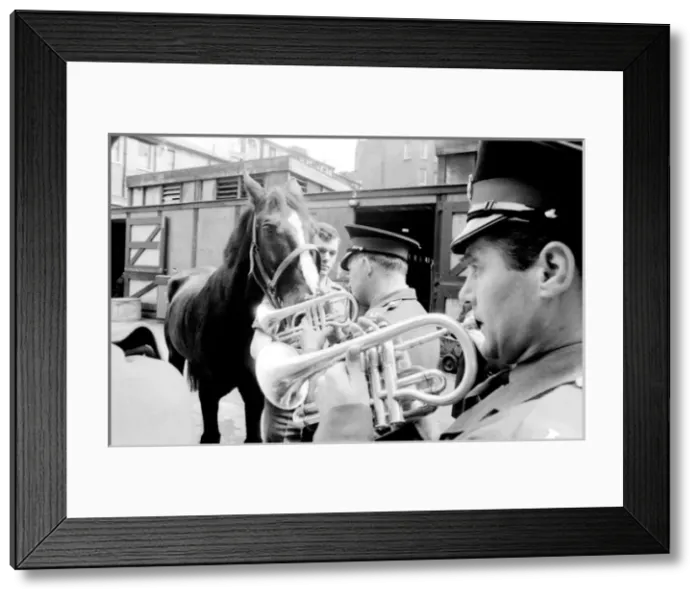 Framed Print : Familiarising horses with the sound of music Framed Print : Familiarising horses with the sound of music