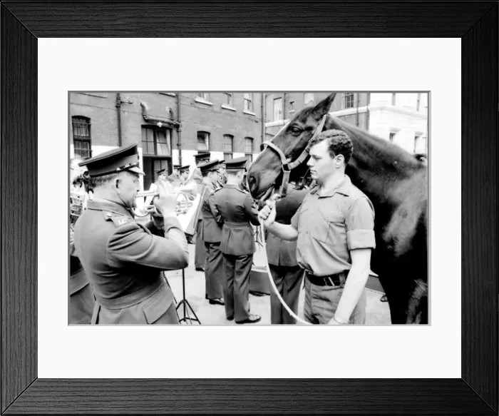 Framed Print : Familiarising horses with the sound of music Framed Print : Familiarising horses with the sound of music