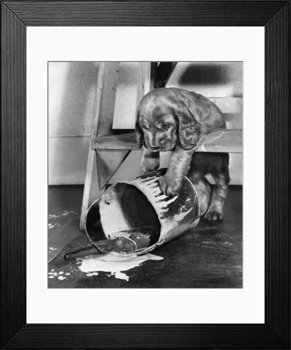 Framed Print : Susi - with an overturned paint pot Framed Print : Susi - with an overturned paint pot