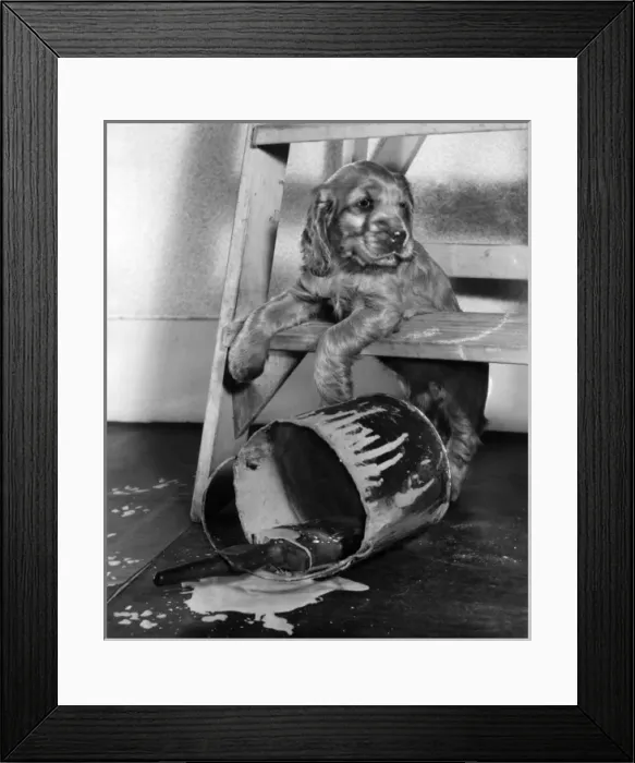 Framed Print : Susi - with an overturned paint pot Framed Print : Susi - with an overturned paint pot
