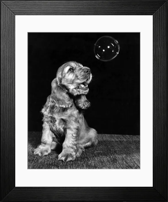 Framed Print : Susi - looking at a bubble Framed Print : Susi - looking at a bubble