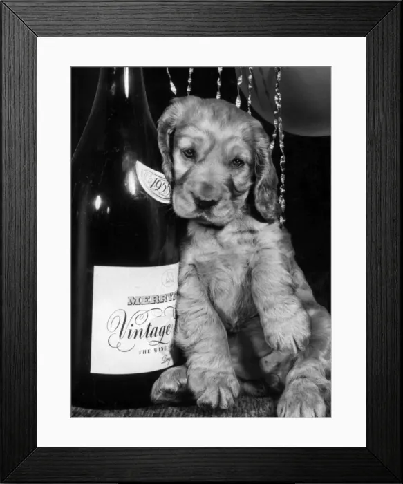 Framed Print : Susi - leaning against a bottle Framed Print : Susi - leaning against a bottle