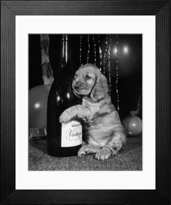 Framed Print : Susi - holding onto a bottle Framed Print : Susi - holding onto a bottle