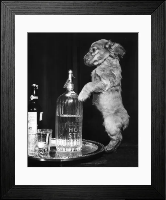 Framed Print : Susi - with drinks tray Framed Print : Susi - with drinks tray