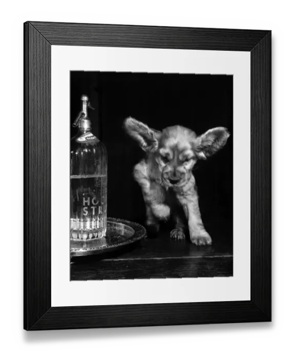 Framed Print : Susi - with soda syphon Framed Print : Susi - with soda syphon