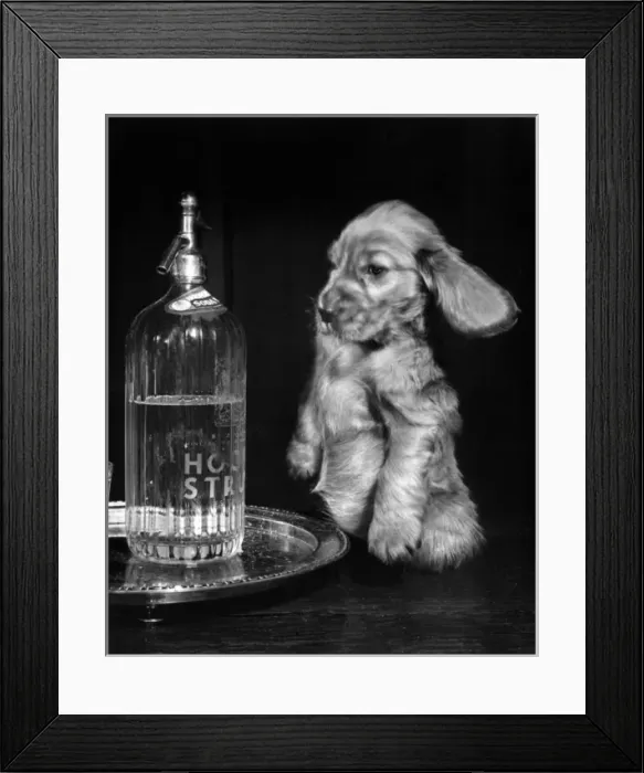 Framed Print : Susi - with soda syphon Framed Print : Susi - with soda syphon