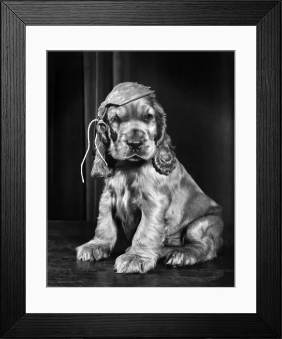 Framed Print : Susi - burst balloon on her head Framed Print : Susi - burst balloon on her head