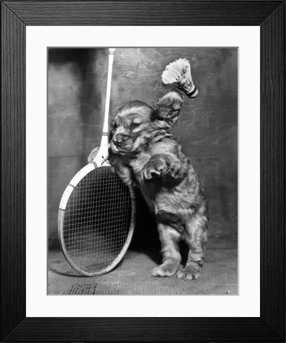 Framed Print : Susi - with badminton racquet and shuttlecock Framed Print : Susi - with badminton racquet and shuttlecock