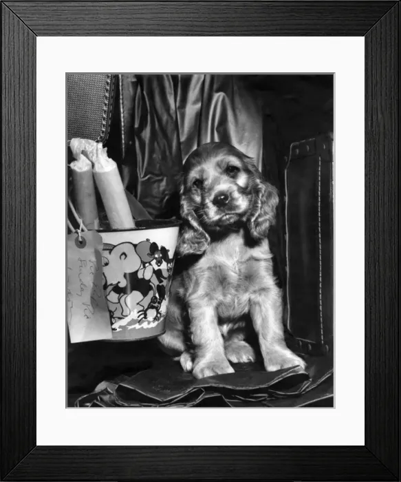 Framed Print : Susi - with bucket and sticks of rock Framed Print : Susi - with bucket and sticks of rock