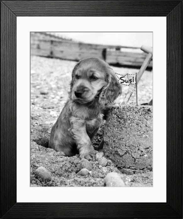 Framed Print : Susi - building a sandcastle Framed Print : Susi - building a sandcastle