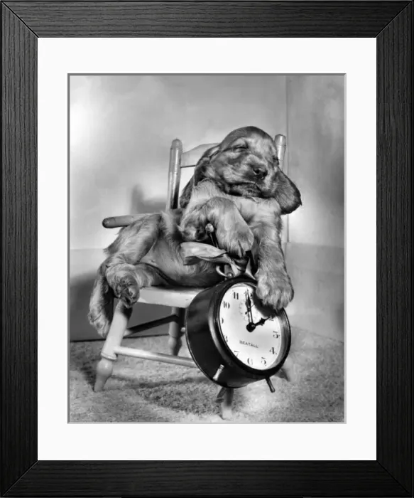 Framed Print : Susi - in chair, with alarm clock Framed Print : Susi - in chair, with alarm clock