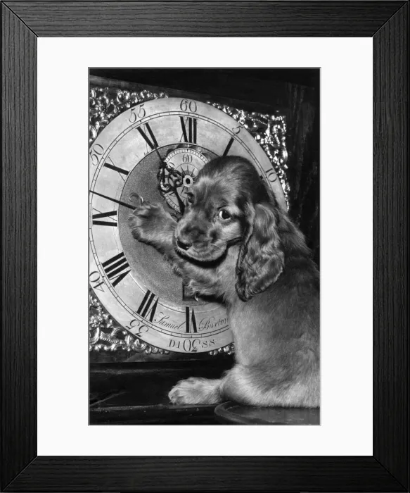 Framed Print : Susi - with grandfather clock Framed Print : Susi - with grandfather clock