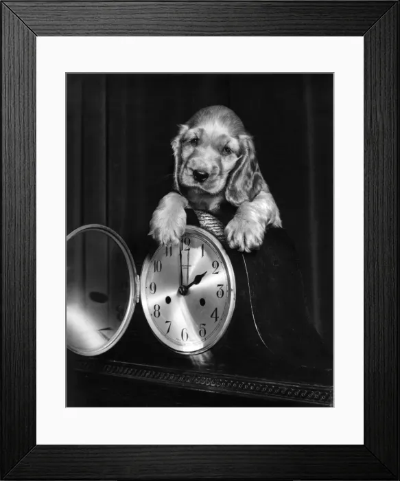 Framed Print : Susi - with a mantel clock Framed Print : Susi - with a mantel clock