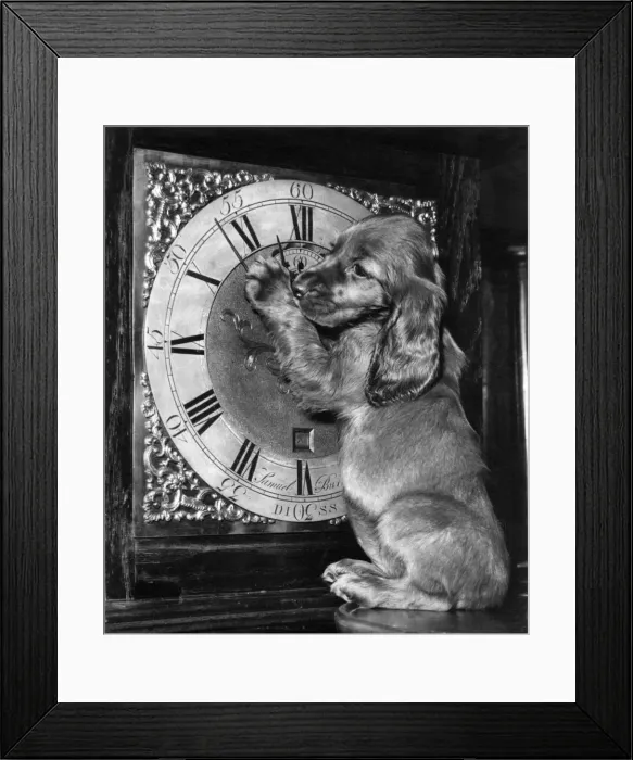 Framed Print : Susi - with grandfather clock Framed Print : Susi - with grandfather clock