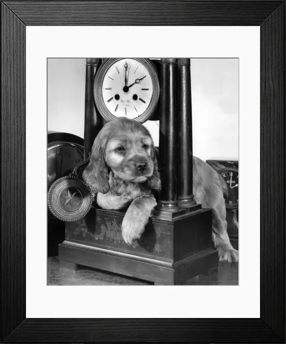Framed Print : Susi - with carriage clock Framed Print : Susi - with carriage clock