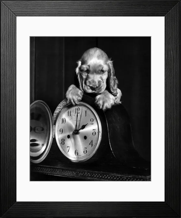 Framed Print : Susi - with a mantel clock Framed Print : Susi - with a mantel clock