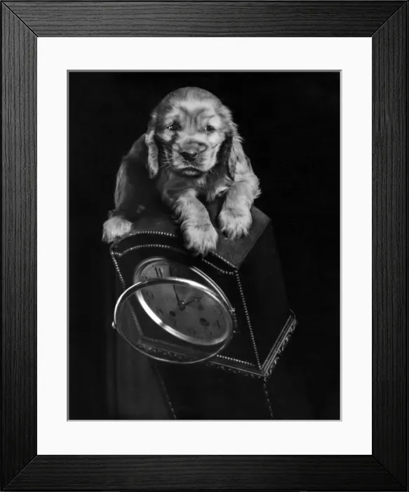 Framed Print : Susi - with mantel clock Framed Print : Susi - with mantel clock