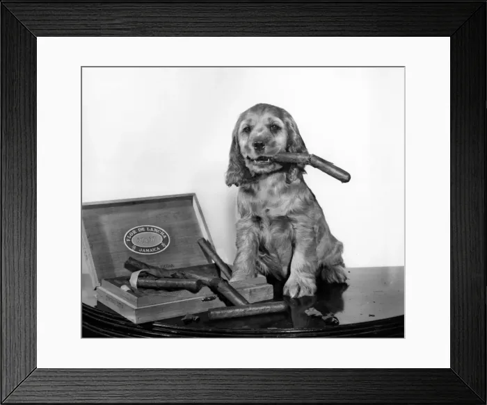Framed Print : Susi - with a cigar box Framed Print : Susi - with a cigar box