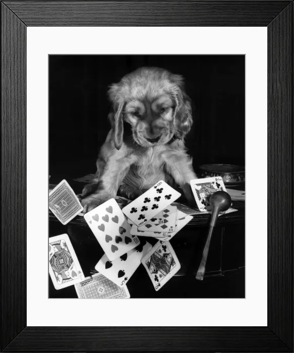 Framed Print : Susi - with pipe and playing cards Framed Print : Susi - with pipe and playing cards
