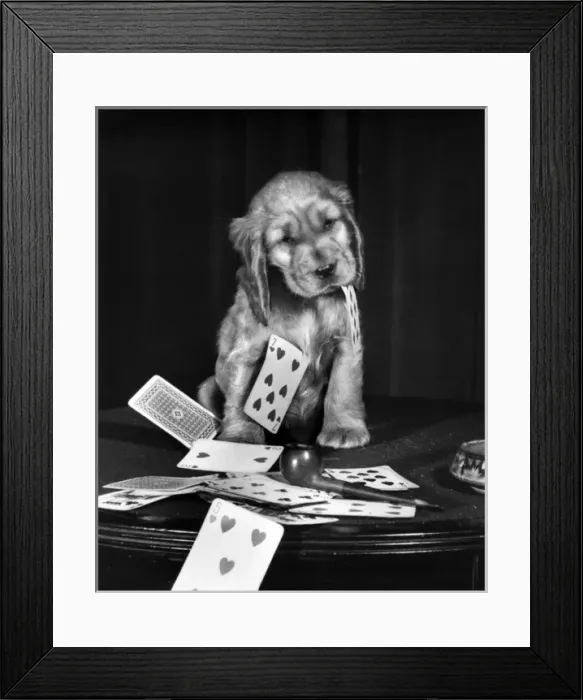 Framed Print : Susi - with pipe and playing cards Framed Print : Susi - with pipe and playing cards