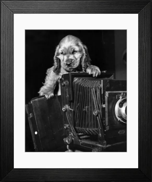 Framed Print : Susi - with large camera Framed Print : Susi - with large camera